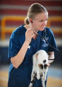 veterinarian carrying a pet