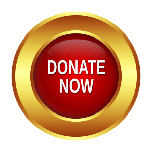 donate now button 