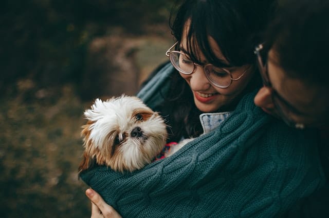 Spreading love will help your pet adapt to the new surroundings