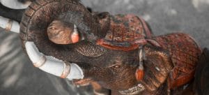 An elephant figurine thought to bring good luck when moving into a new home